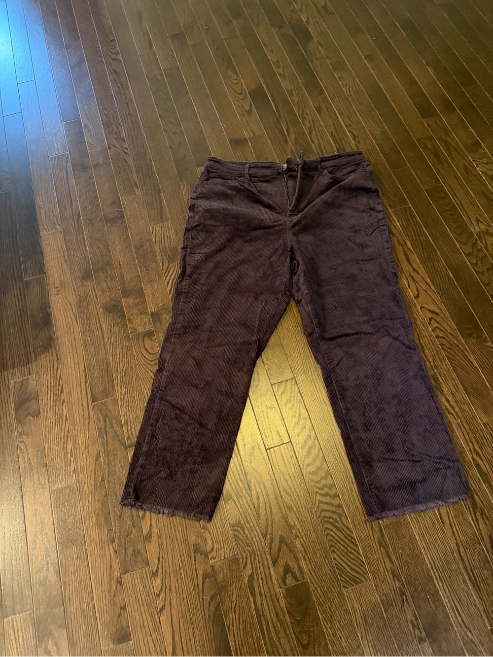 Loft corduroys: thick-knit, eggplant color, frayed-ankle detail. Size 14.